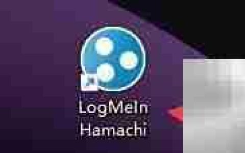 LogMeIn Hamachi流量过滤设置
