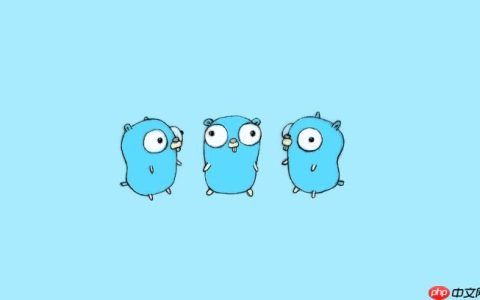 Golang反射在序列化框架中的优化方法