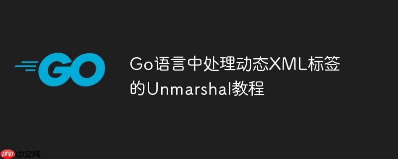 Go语言中处理动态XML标签的Unmarshal教程