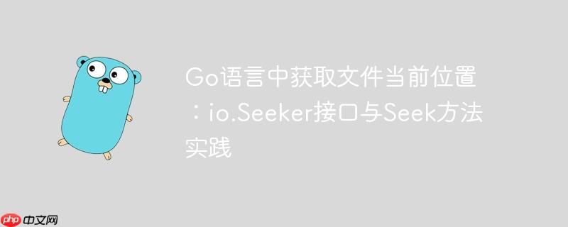 Go语言中获取文件当前位置:io.Seeker接口与Seek方法实践