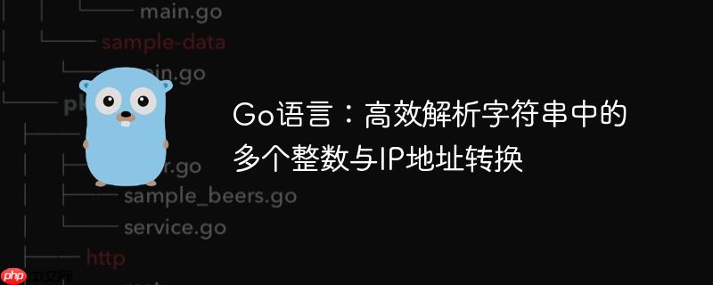 Go语言:高效解析字符串中的多个整数与IP地址转换