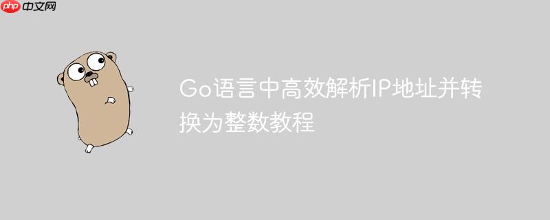Go语言中高效解析IP地址并转换为整数教程