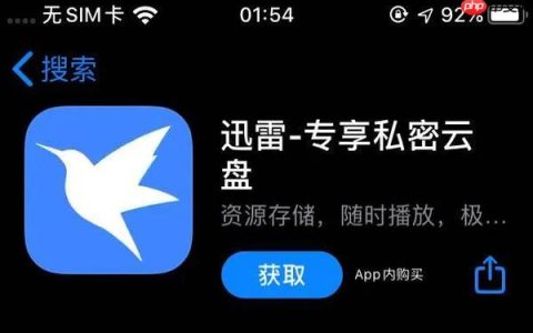 迅雷网盘如何清理缓存文件_迅雷网盘缓存清理与空间释放