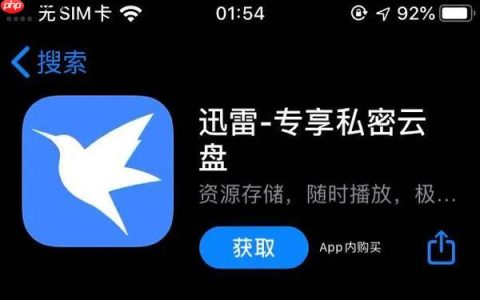 迅雷网盘怎么查看存储容量_迅雷网盘容量查询与清理方法