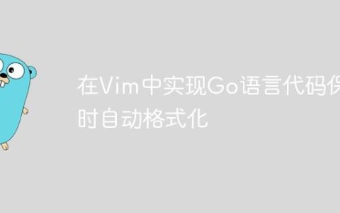 在Vim中实现Go语言代码保存时自动格式化