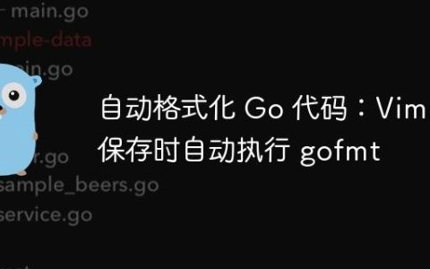自动格式化 Go 代码：Vim 保存时自动执行 gofmt