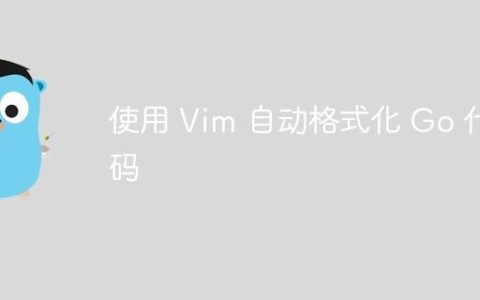使用 Vim 自动格式化 Go 代码