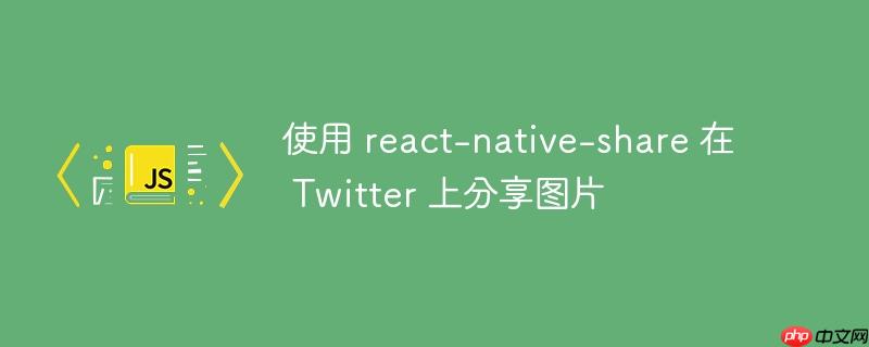 使用 react-native-share 在 twitter 上分享图片