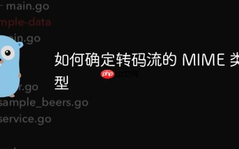 如何确定转码流的 MIME 类型