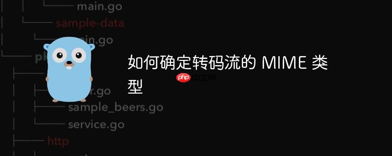 如何确定转码流的 mime 类型