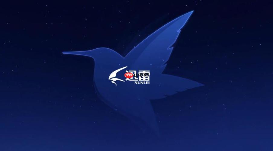 迅雷网盘怎么使用播放器功能_迅雷网盘内置播放器使用指南