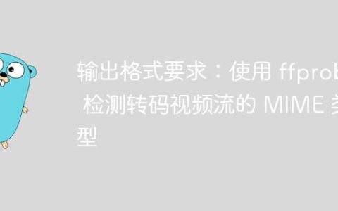 输出格式要求：使用 ffprobe 检测转码视频流的 MIME 类型