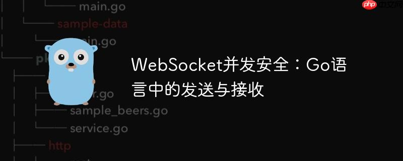 websocket并发安全:go语言中的发送与接收