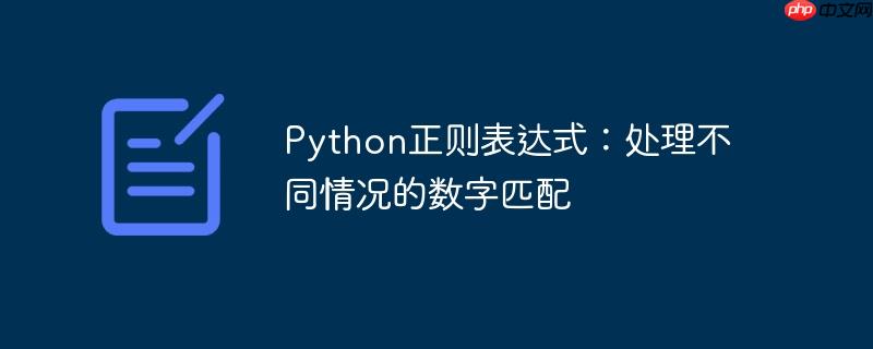 python正则表达式:处理不同情况的数字匹配