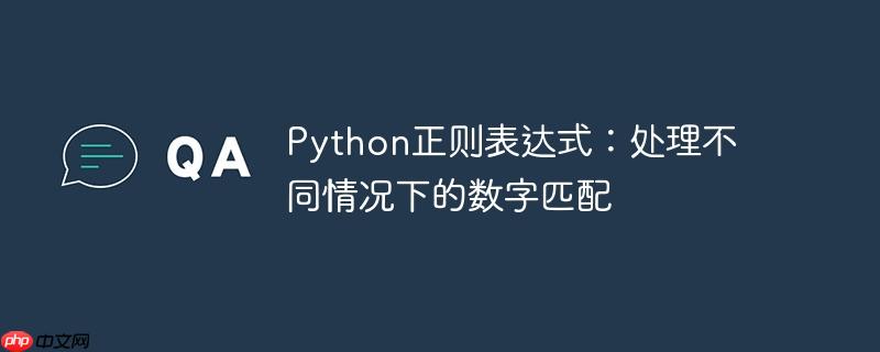 python正则表达式:处理不同情况下的数字匹配