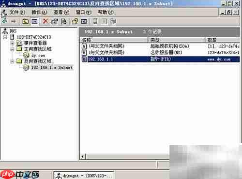 DNS与Web服务器搭建管理