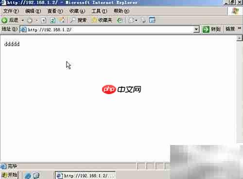 DNS与Web服务器搭建管理