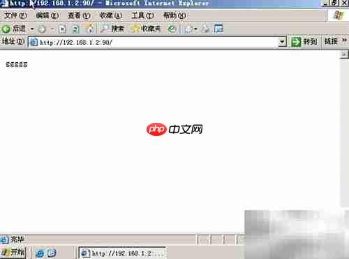 DNS与Web服务器搭建管理
