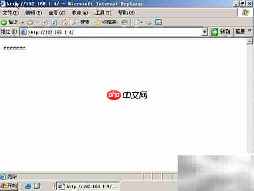 DNS与Web服务器搭建管理