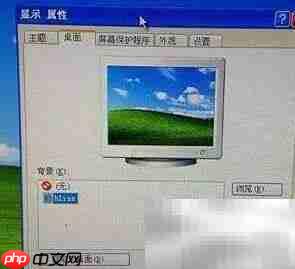 IE删除了如何恢复?