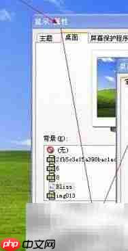 IE删除了如何恢复?