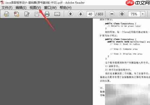 Adobe Reader打开附件栏方法