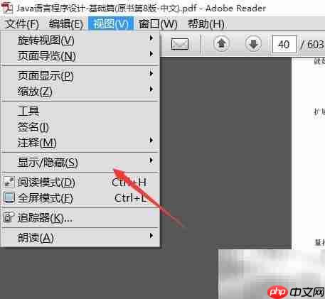 Adobe Reader打开附件栏方法