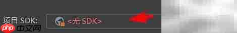 IntelliJ设置Java企业版无SDK