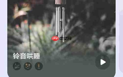 小睡眠中探秘音乐家书房