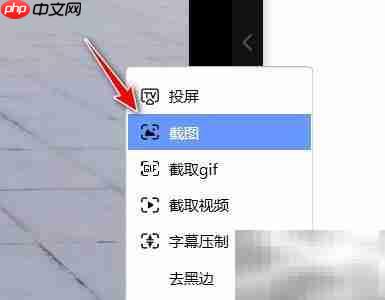 迅雷影音播放截图方法