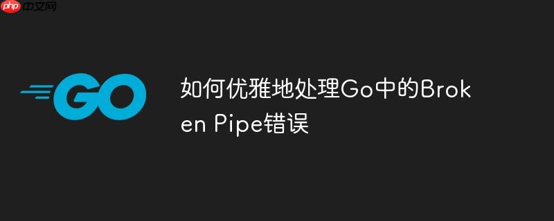 如何优雅地处理go中的broken pipe错误