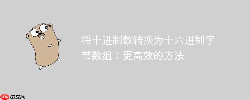 将十进制数转换为十六进制字节数组：更高效的方法