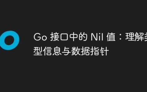 Go 接口中的 Nil 值：理解类型信息与数据指针