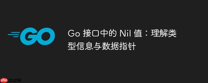 go 接口中的 nil 值:理解类型信息与数据指针