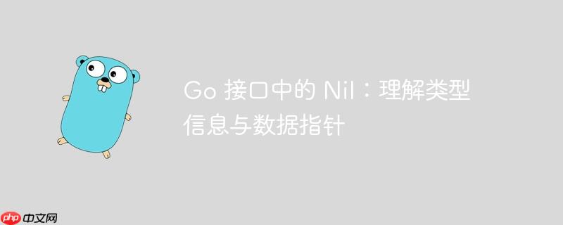 go 接口中的 nil：理解类型信息与数据指针