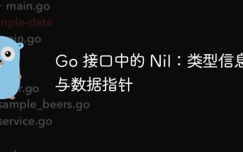 Go 接口中的 Nil：类型信息与数据指针