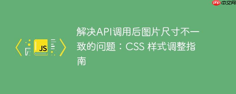 解决api调用后图片尺寸不一致的问题:css 样式调整指南