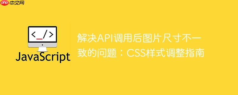 解决API调用后图片尺寸不一致的问题:CSS样式调整指南