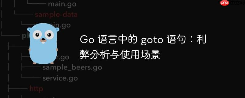 go 语言中的 goto 语句：利弊分析与使用场景