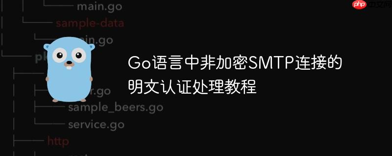 Go语言中非加密SMTP连接的明文认证处理教程