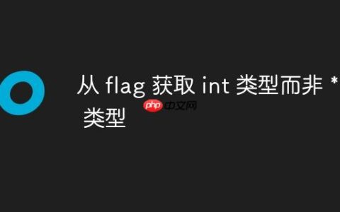 从 flag 获取 int 类型而非 *int 类型