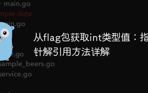 从flag包获取int类型值：指针解引用方法详解