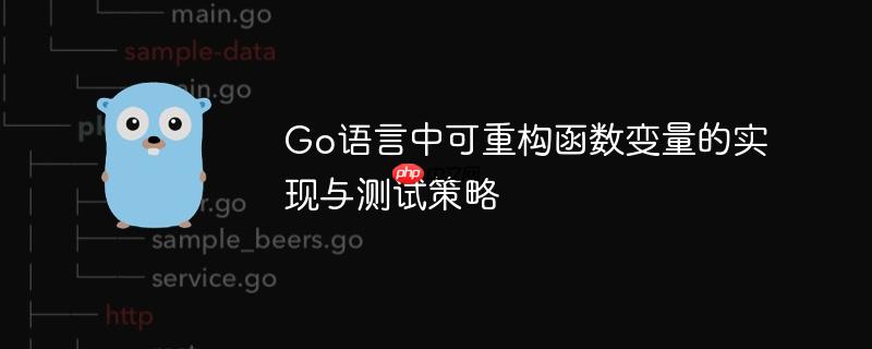 Go语言中可重构函数变量的实现与测试策略