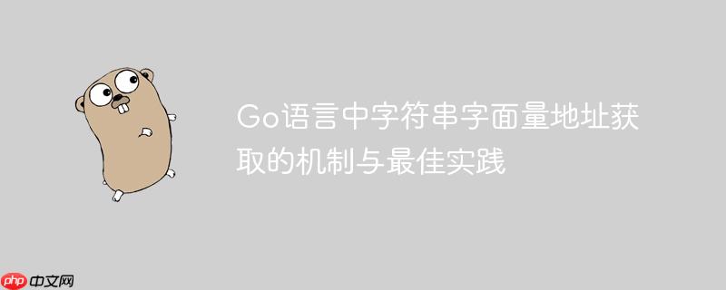 Go语言中字符串字面量地址获取的机制与最佳实践