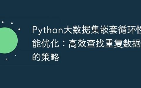 Python大数据集嵌套循环性能优化：高效查找重复数据的策略