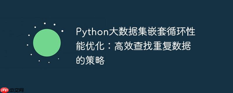 python大数据集嵌套循环性能优化:高效查找重复数据的策略