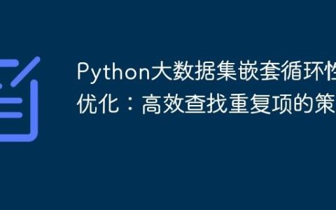 Python大数据集嵌套循环性能优化：高效查找重复项的策略