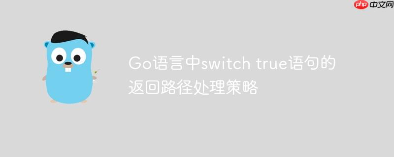 go语言中switch true语句的返回路径处理策略