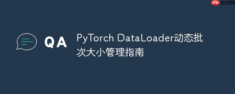 PyTorch DataLoader动态批次大小管理指南