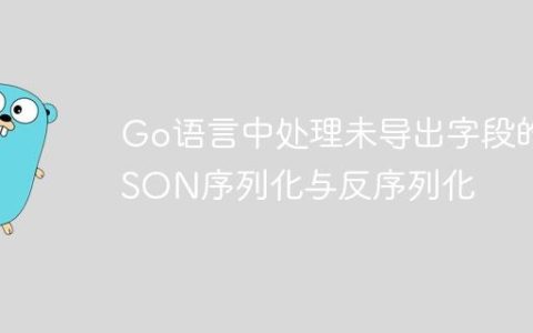 Go语言中处理未导出字段的JSON序列化与反序列化